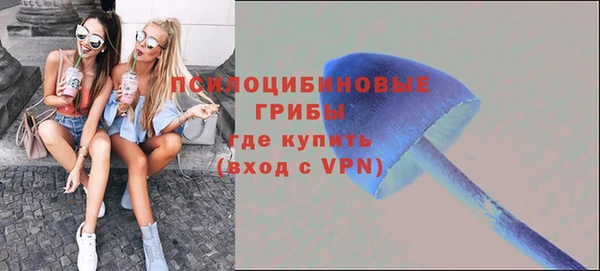 спайс Арсеньев