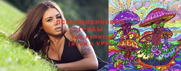 спайс Арсеньев