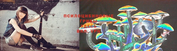 прущие крисы Армянск