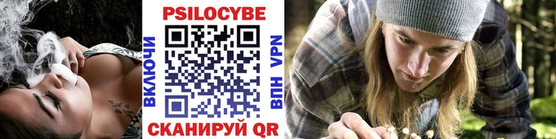 Псилоцибиновые грибы GOLDEN TEACHER  Снежногорск 